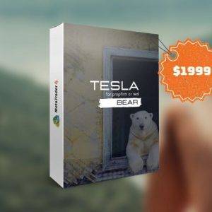TeslaEaSoft Bear MT4 unlimited