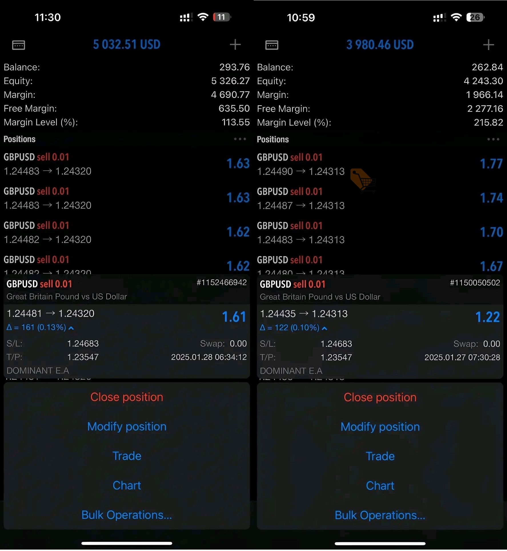 Dominant-EA-MT5-live-results