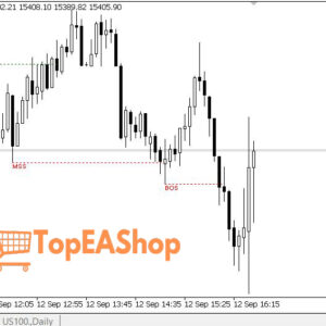 FVG-EA-Pro-EA-MT5-live-trading-2.jpg