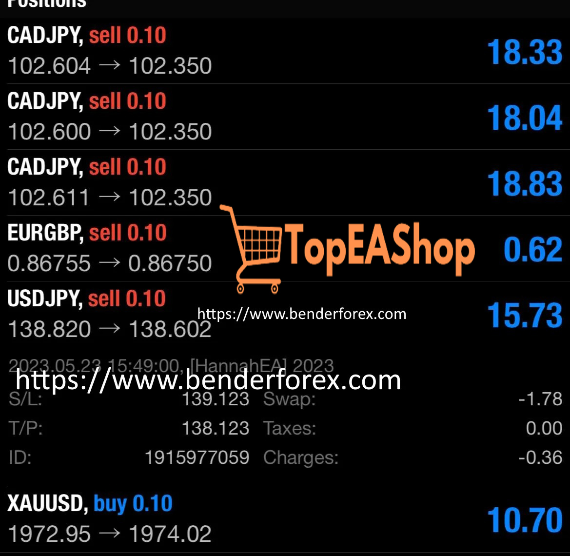 Hannah-EA-MT4-live-results