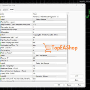 Hannah-EA-MT4-settings.jpg