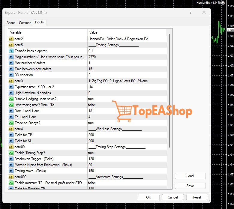Hannah-EA-MT4-settings.jpg