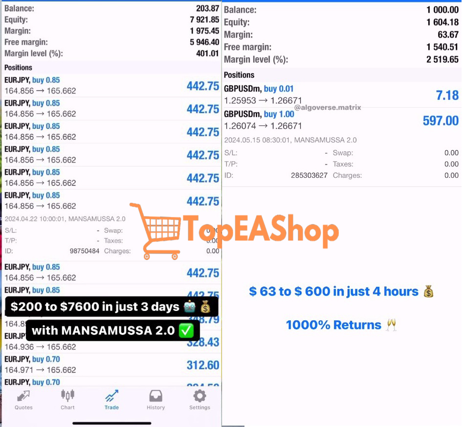 MansaMussa-EA-MT5-live-results-1