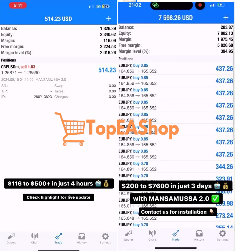 MansaMussa-EA-MT5-live-results-2