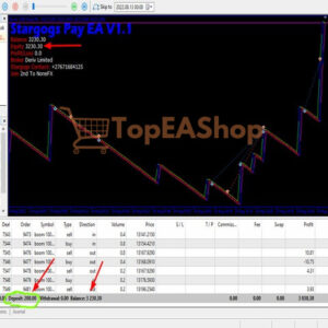 Stargogs-Pay-EA-MT5-live-trading.jpg
