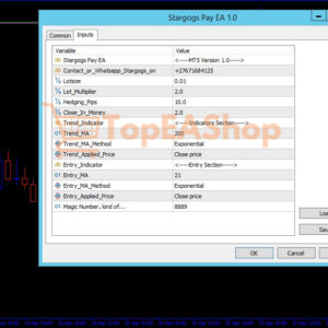 Stargogs-Pay-EA-MT5-settings.jpg