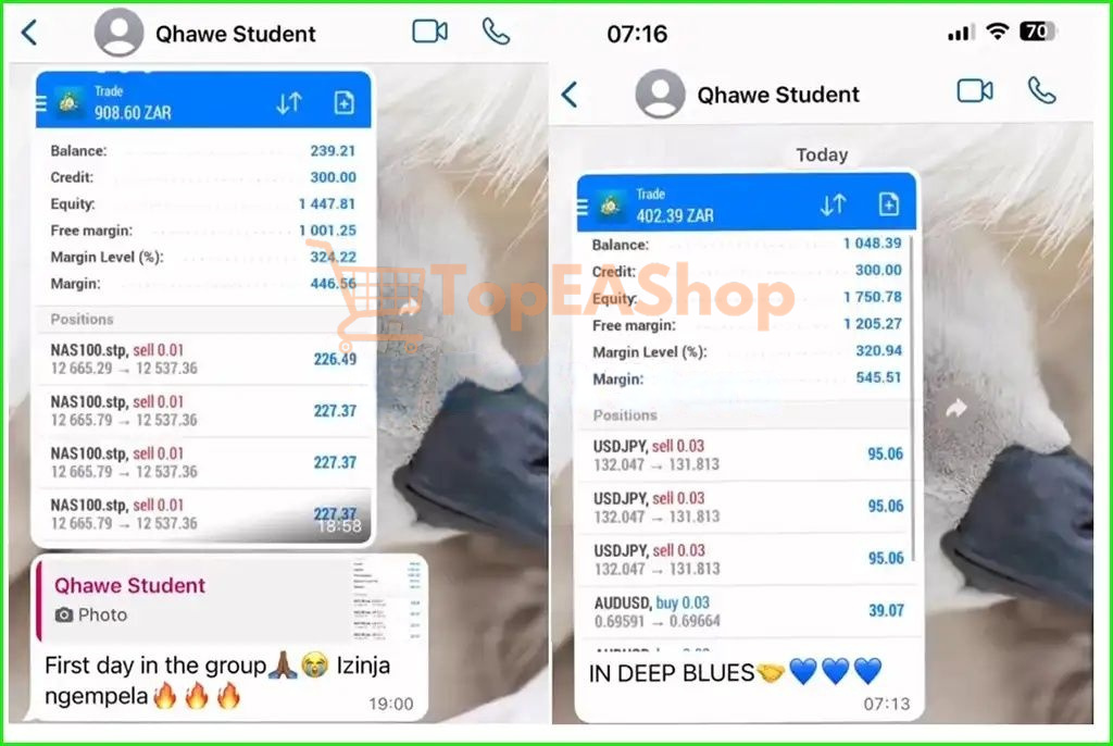 Super-Saiyan-Chopper-EA-MT5-live-results-2