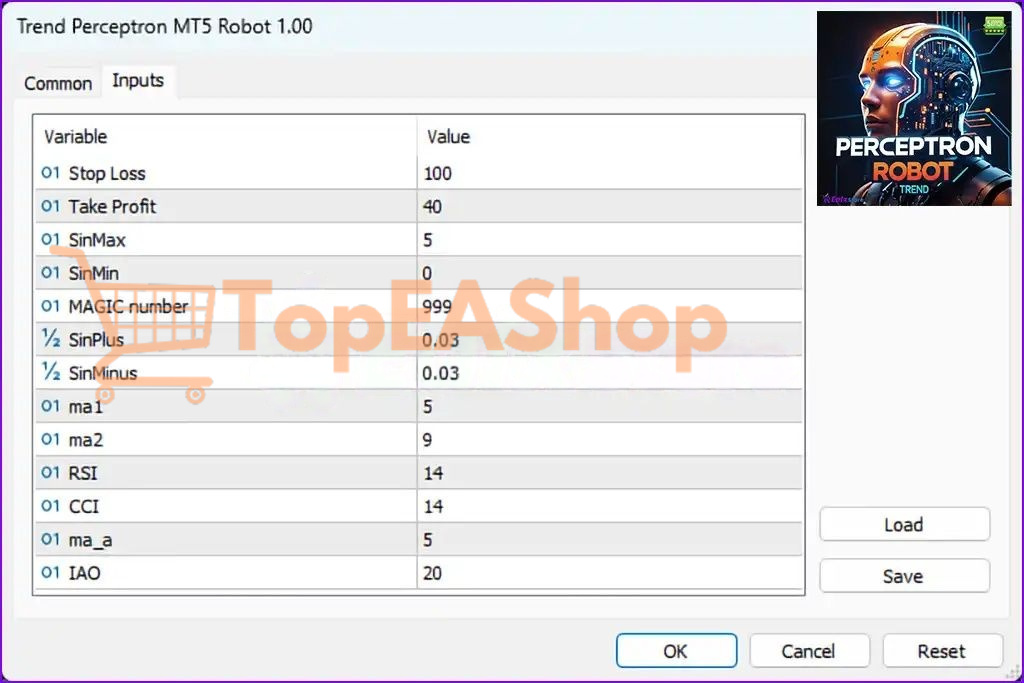 Trend-Perceptron-Robot-MT5-settings