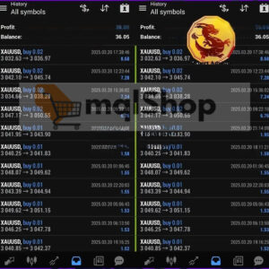 EA Black Dragon live trading