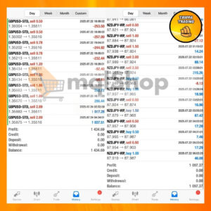 TrippaTrading AI EA MT4 Live trading 1