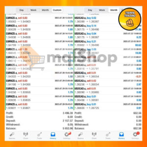 TrippaTrading AI EA MT4 Live trading 2