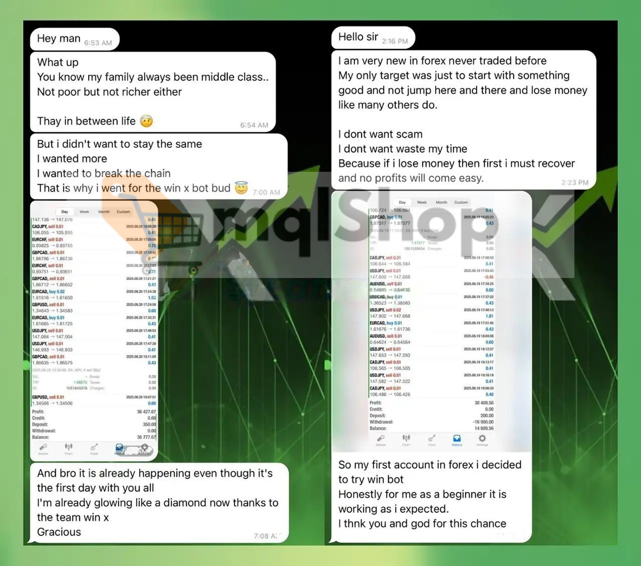WinX EA MT4 user feedback