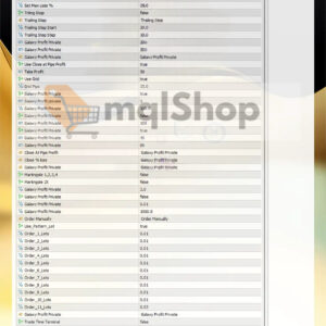 Bank-Trader-VIP-EA-Settings-Panel